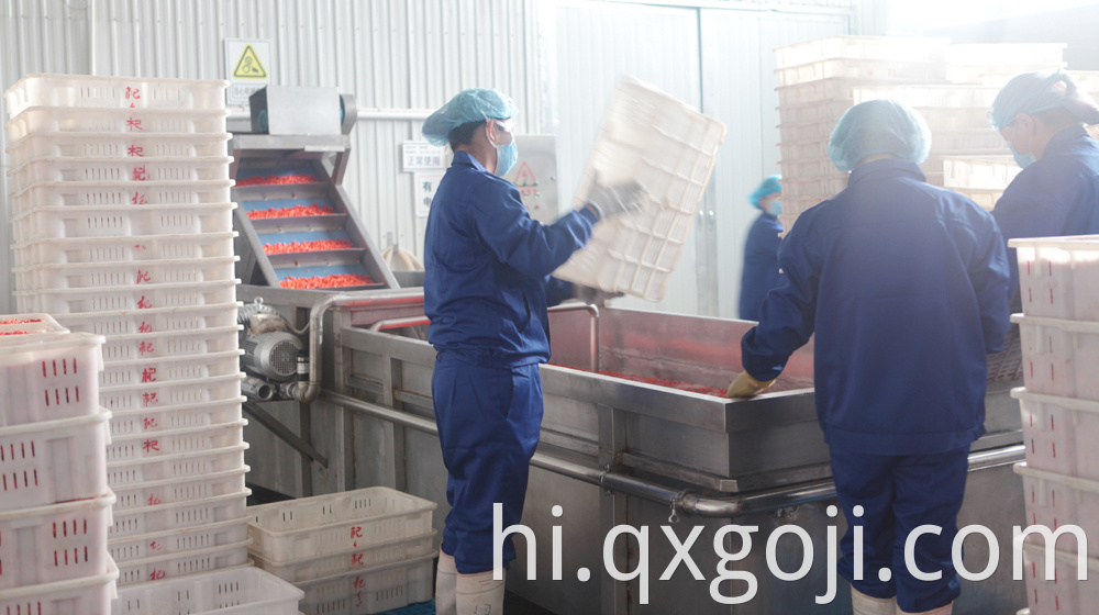 GMP Factory Supply Goji Juice